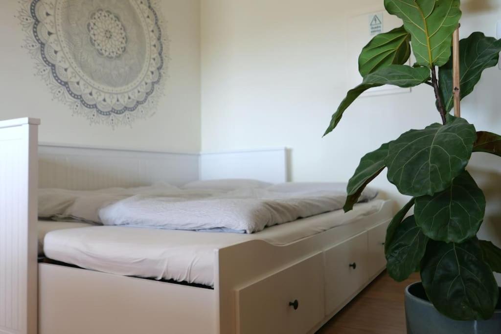 Panorama Apartment Sagres *Pool* Luaran gambar