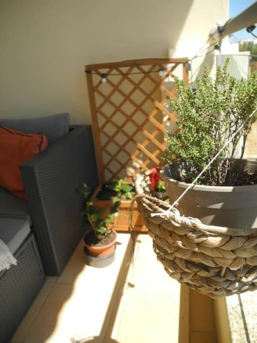Panorama Apartment Sagres *Pool* Luaran gambar